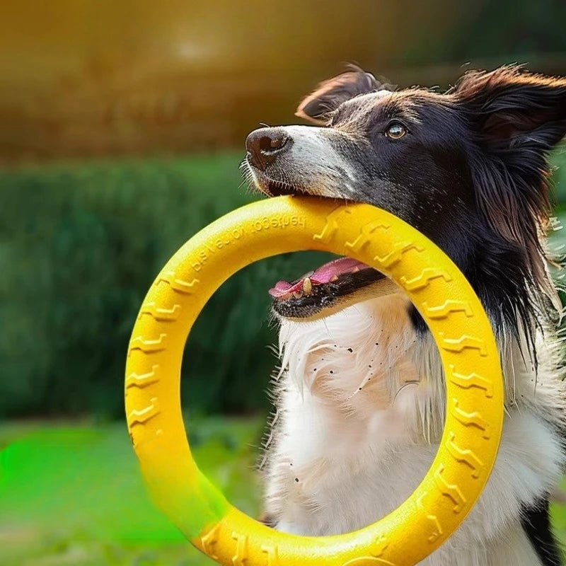 PawFly Ring