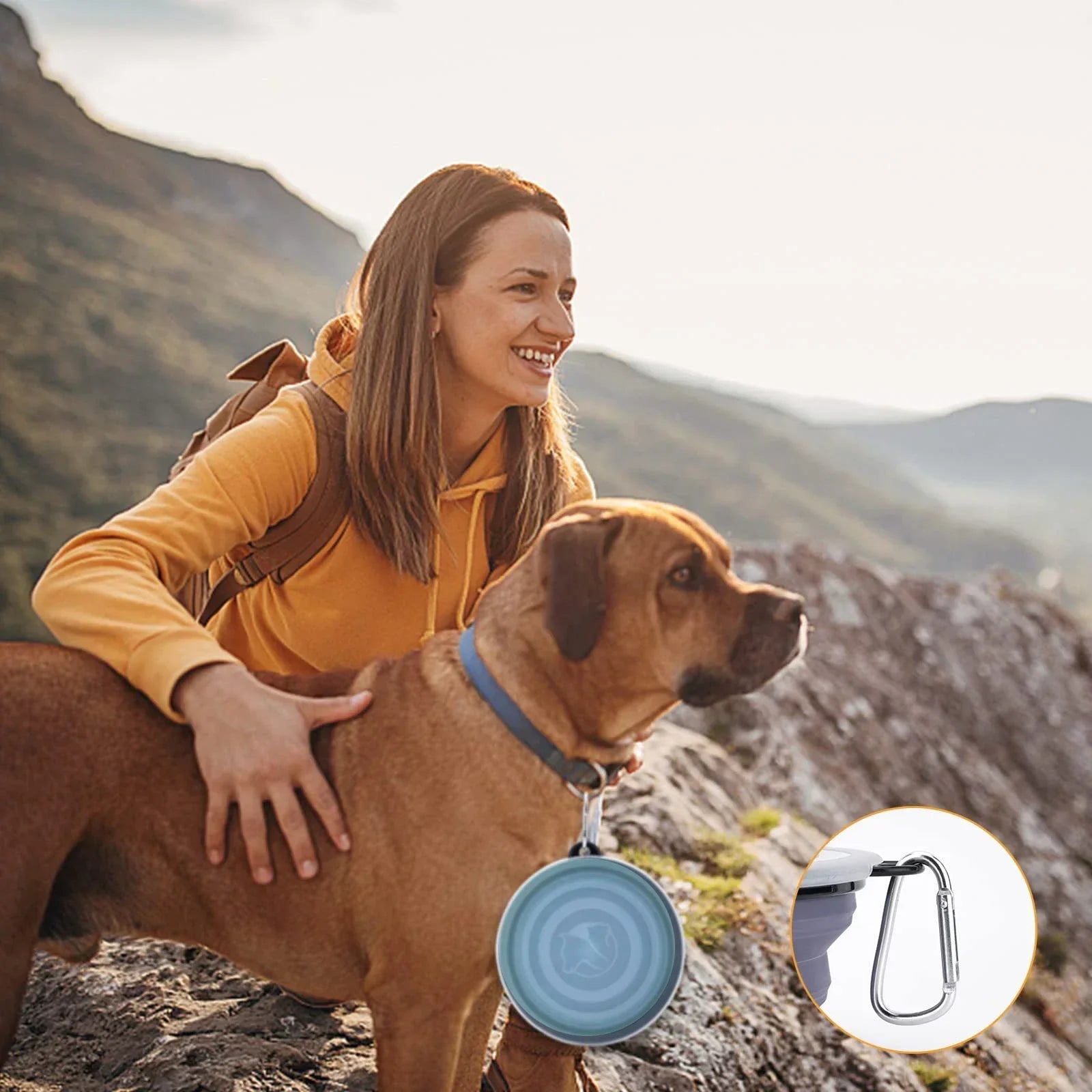 PawFold Bowl