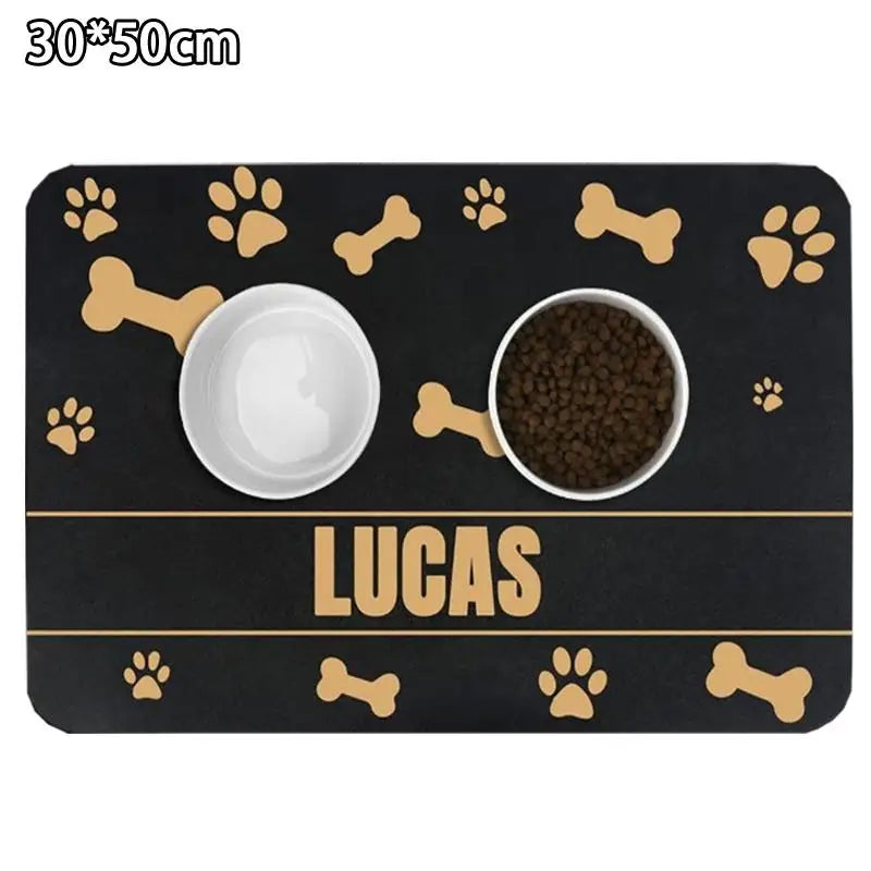 PawDry Mat