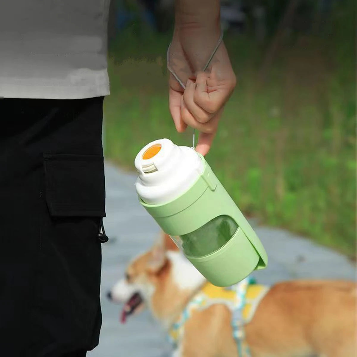 PawSip
