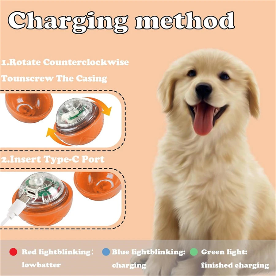 PawBot Ball