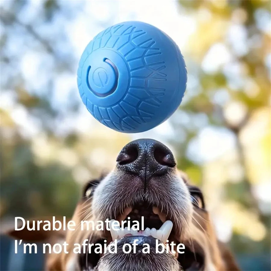 PawBot Ball