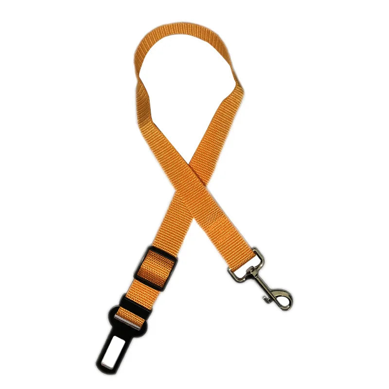 SafePaw