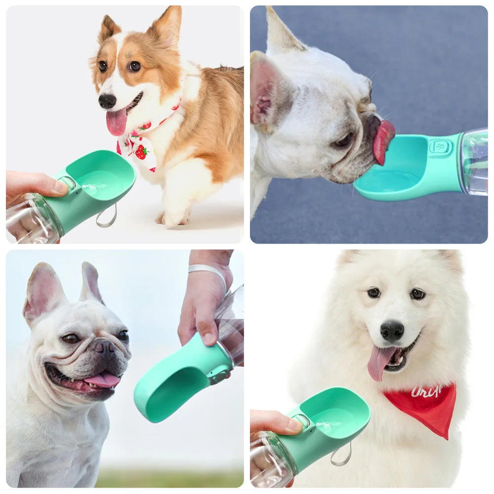 PawDrink