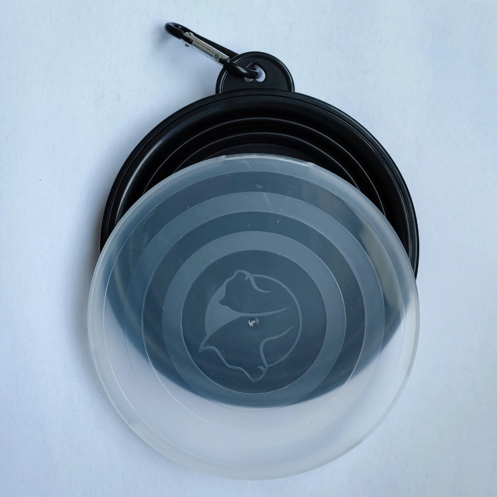 PawFold Bowl