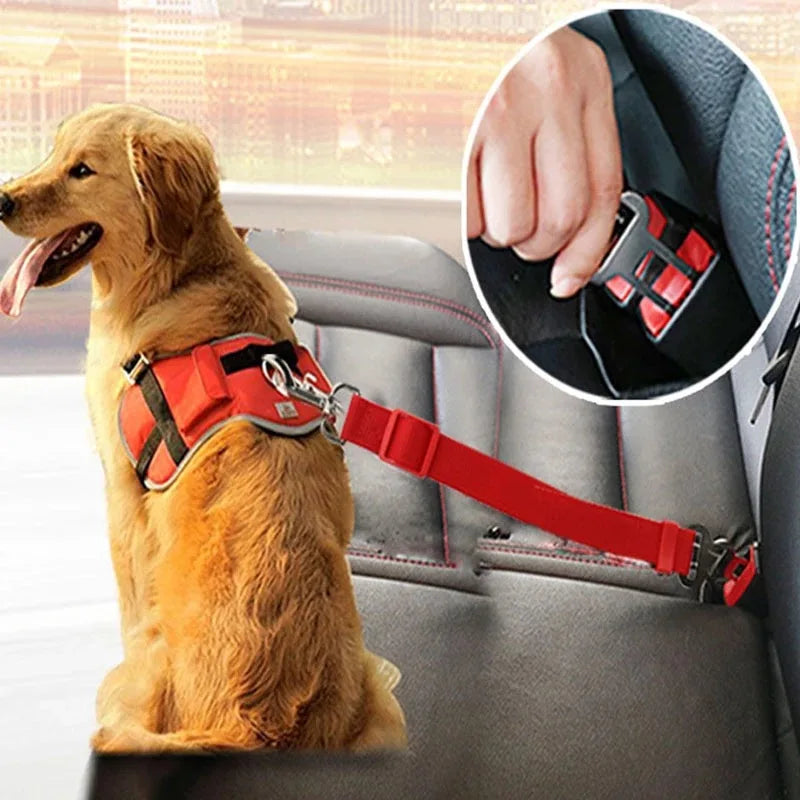 SafePaw