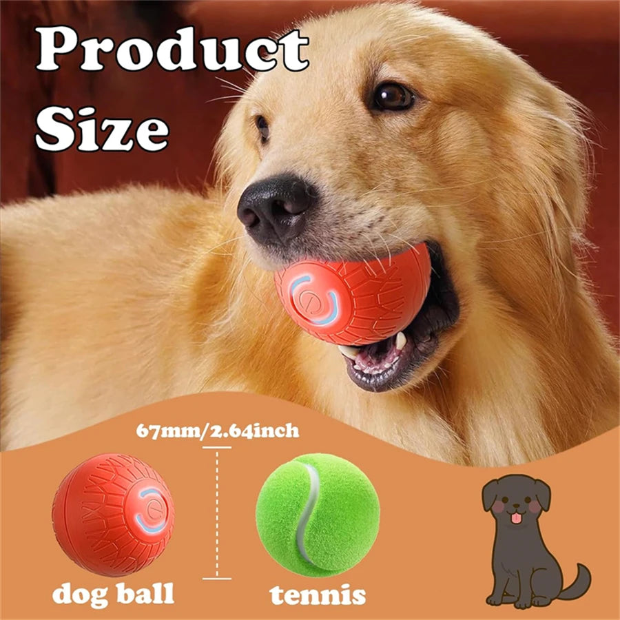 PawBot Ball
