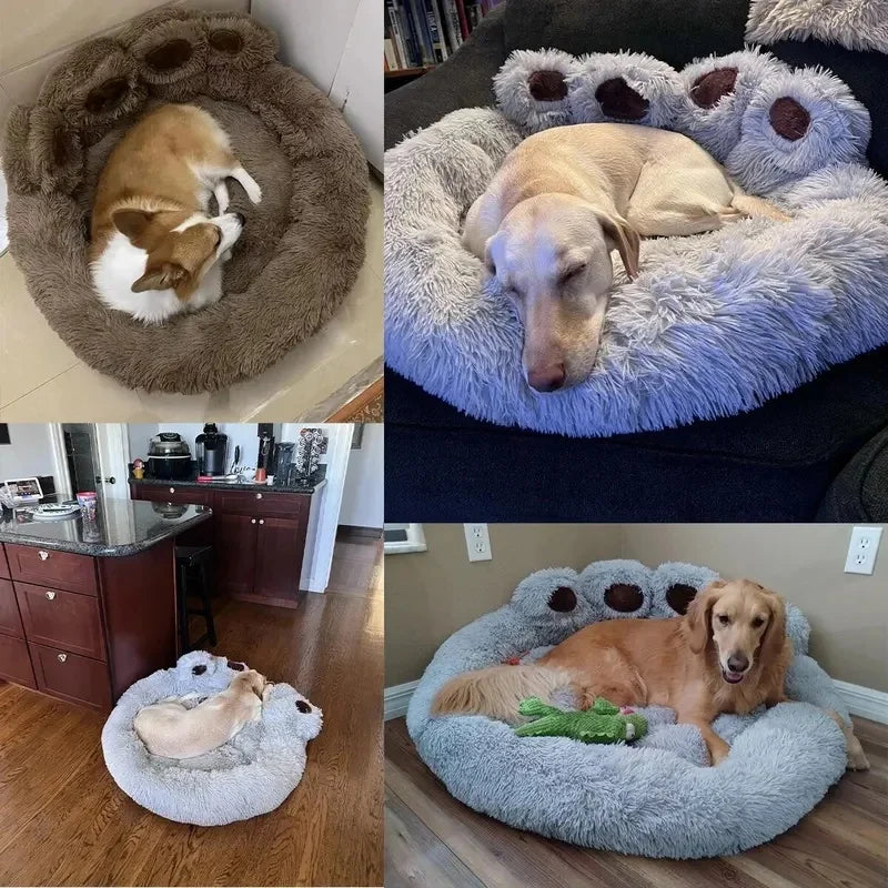 PawCuddle