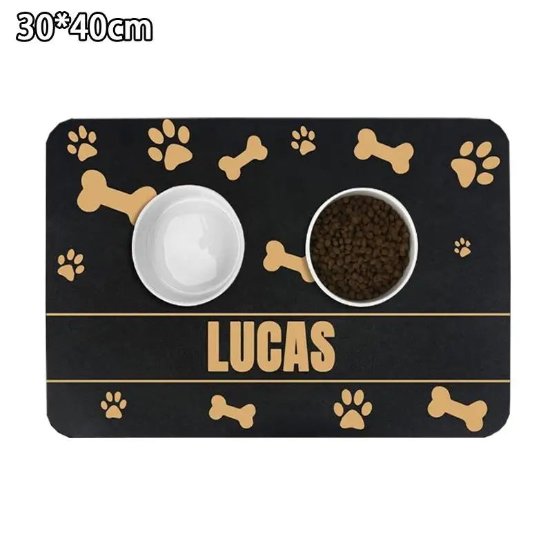 PawDry Mat