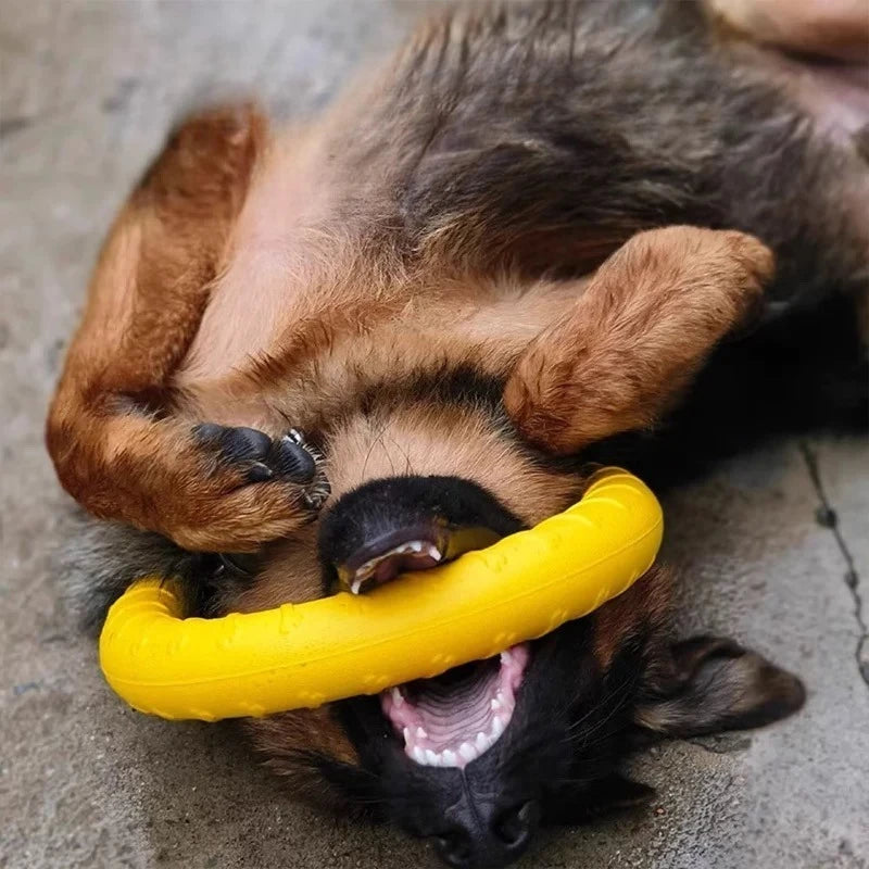 PawFly Ring