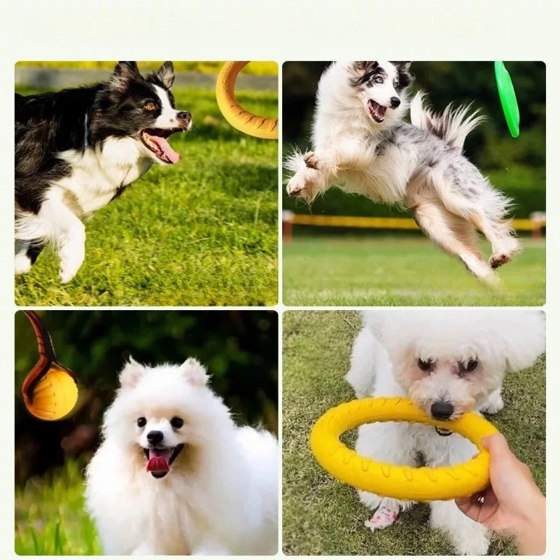 PawFly Ring
