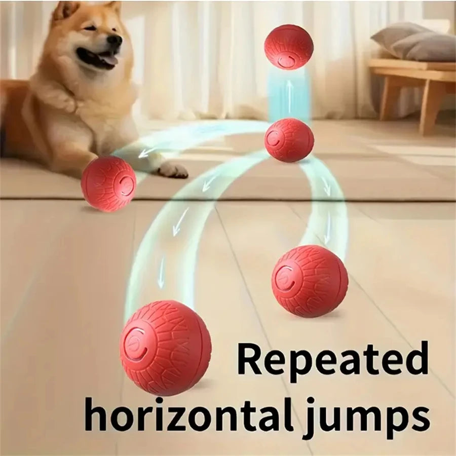 PawBot Ball
