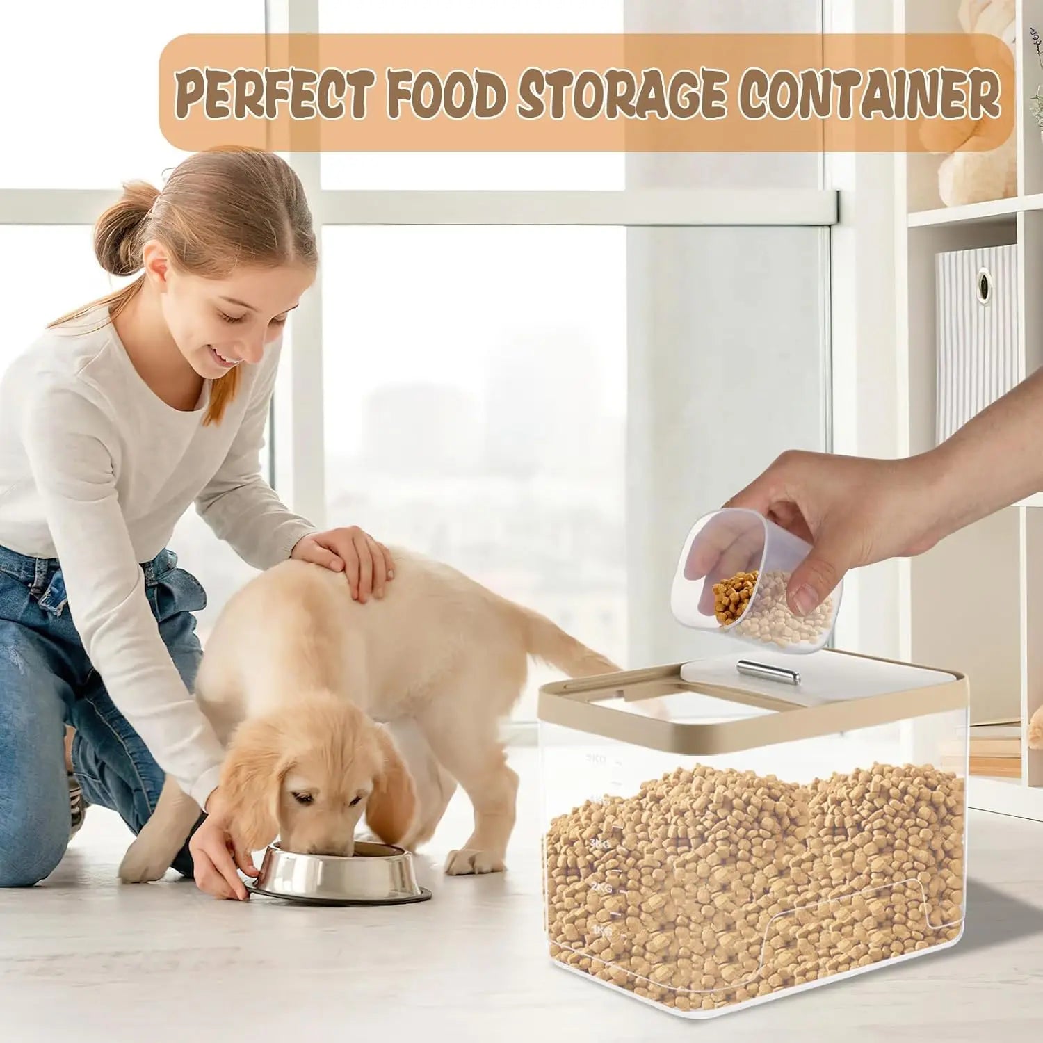 PawBox